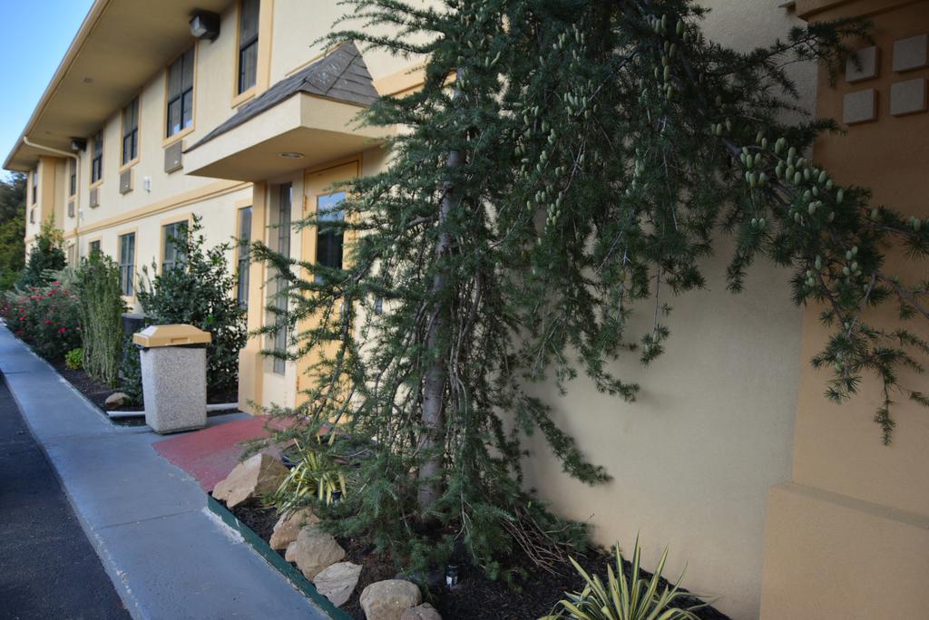 Super 8 By Wyndham Sulphur Exterior photo